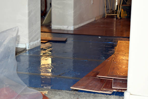 Professional Basement Flood Cleanup technician working in Haworth, NJ